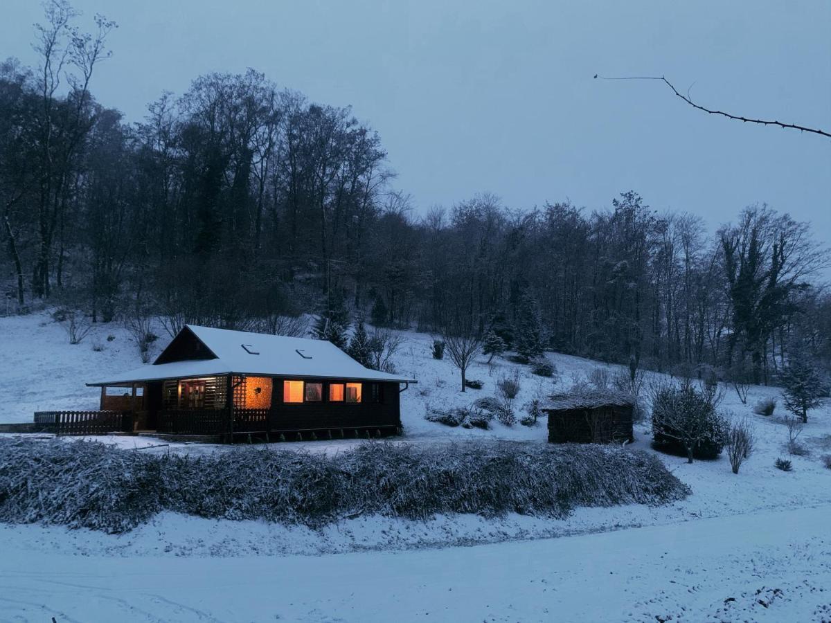 Holiday House Roko Sveti Ivan Zelina ภายนอก รูปภาพ