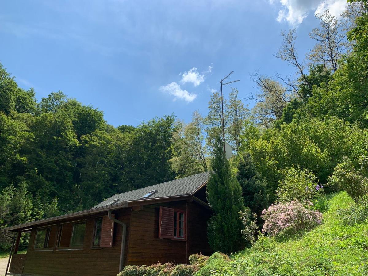 Holiday House Roko Sveti Ivan Zelina ภายนอก รูปภาพ