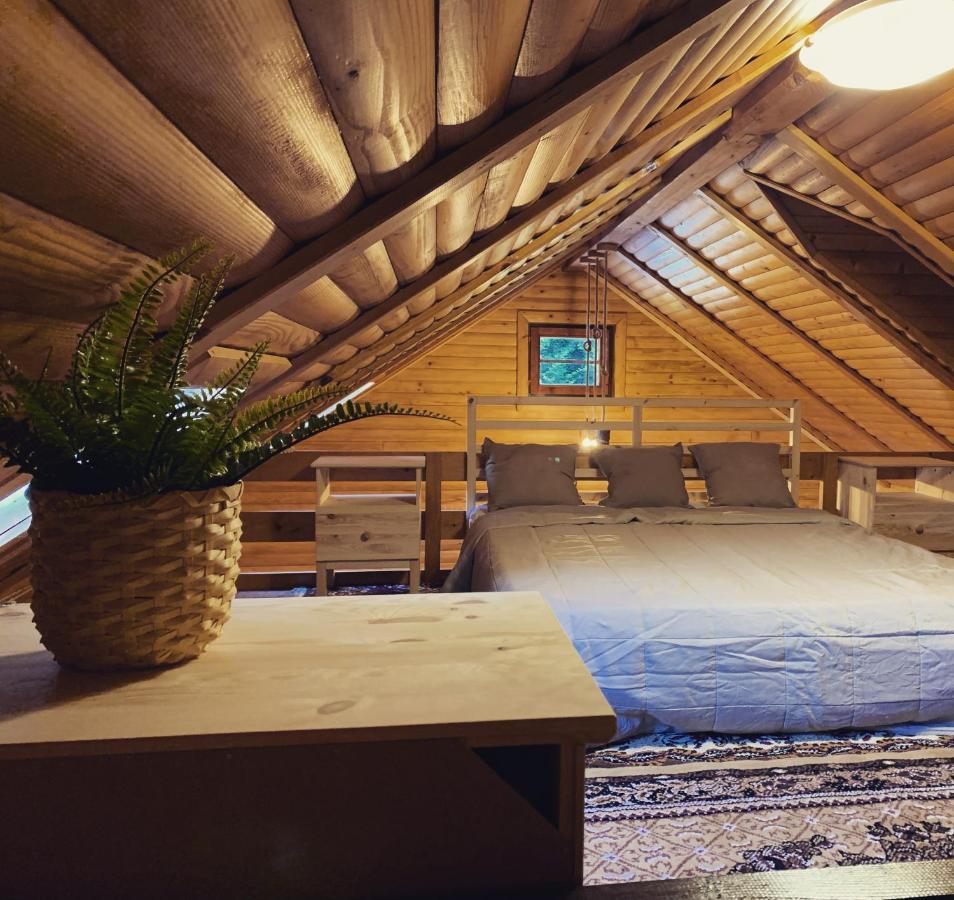 Holiday House Roko Sveti Ivan Zelina ภายนอก รูปภาพ